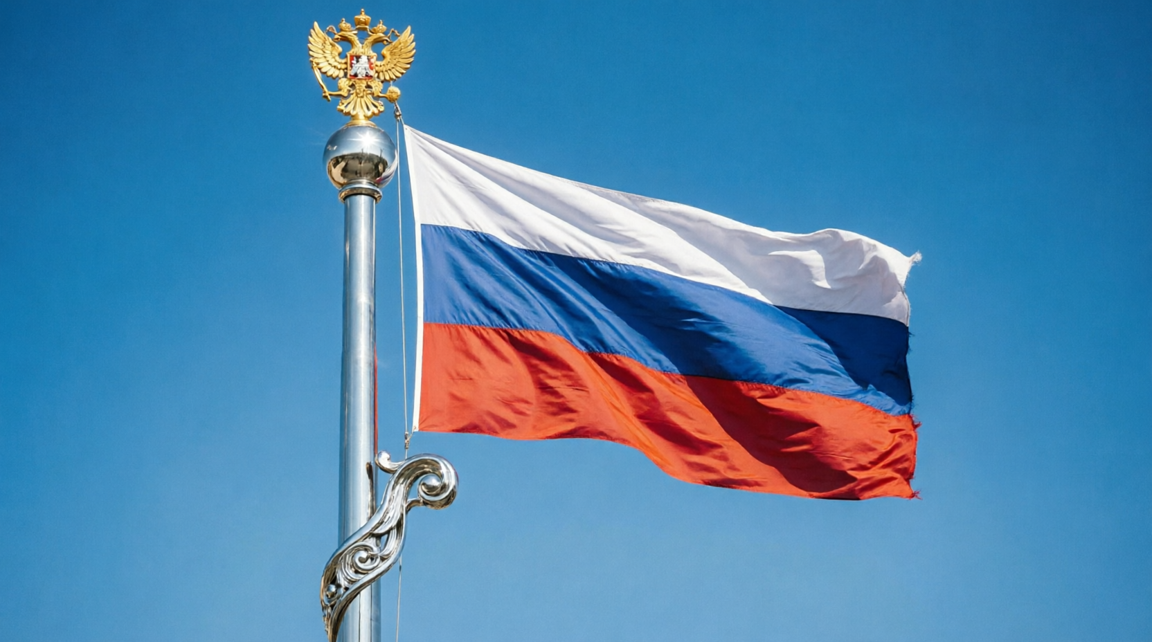 Уважаемые коллеги, партнеры и жители нашей великой страны!  Примите искренние поздравления с главным государственным праздником — Днём России!